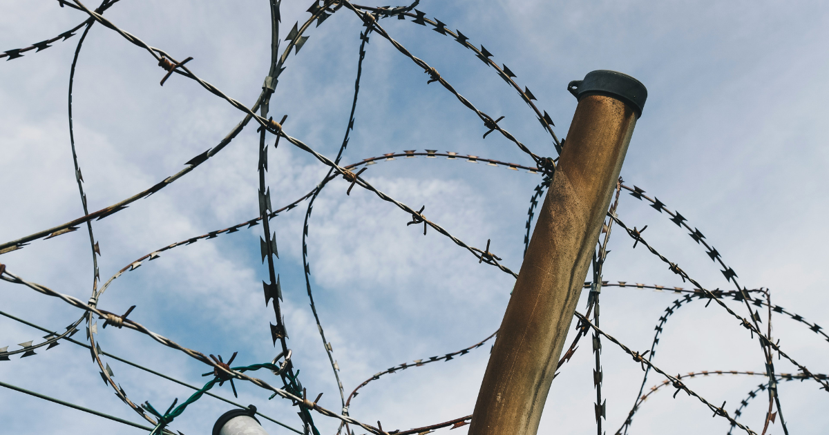 Barbed wire border