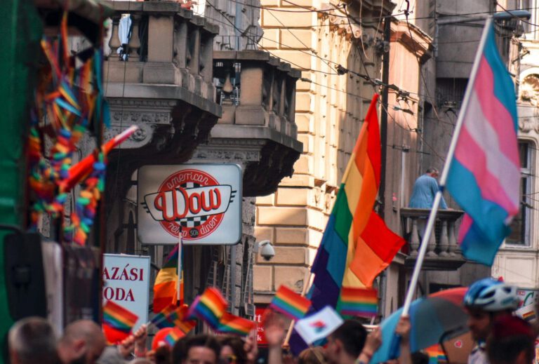 people protesting in the streets of Budapest with rainbow and trans flags.